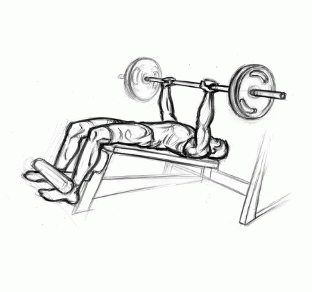What are the benefits of the decline bench press?