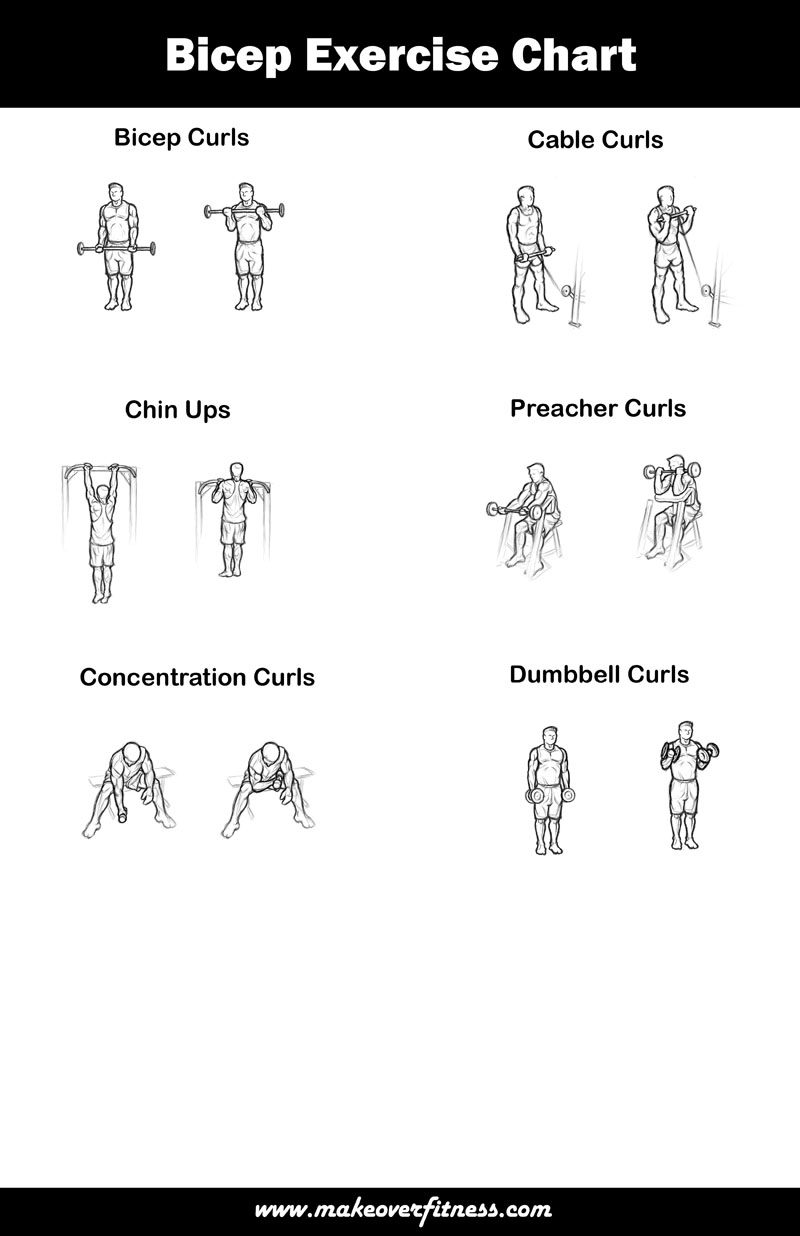 Cable Machine Exercises Chart