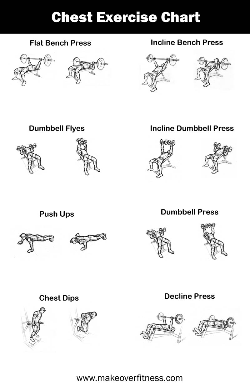Printable Chest Exercise Chart