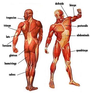 list-of-exercises.jpg