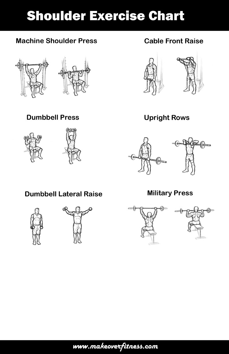 All Workout Exercises Chart