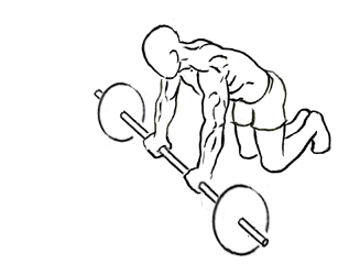 Illustration of ab rollout on your knees