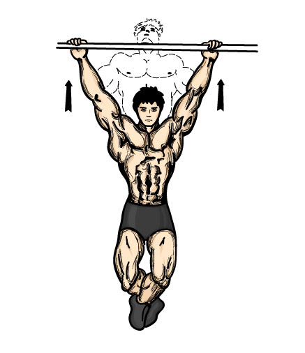 Illustration of back workouts using only body weight. 