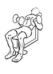 image of dumbbell incline bicep curl 