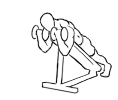 illustration of male demonstration dumbbell prone curls 