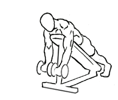 illustration of man doing dumbbell prone bicep curl 