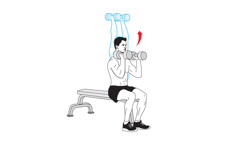 Illustration of shoulder workouts with dumbbells. 