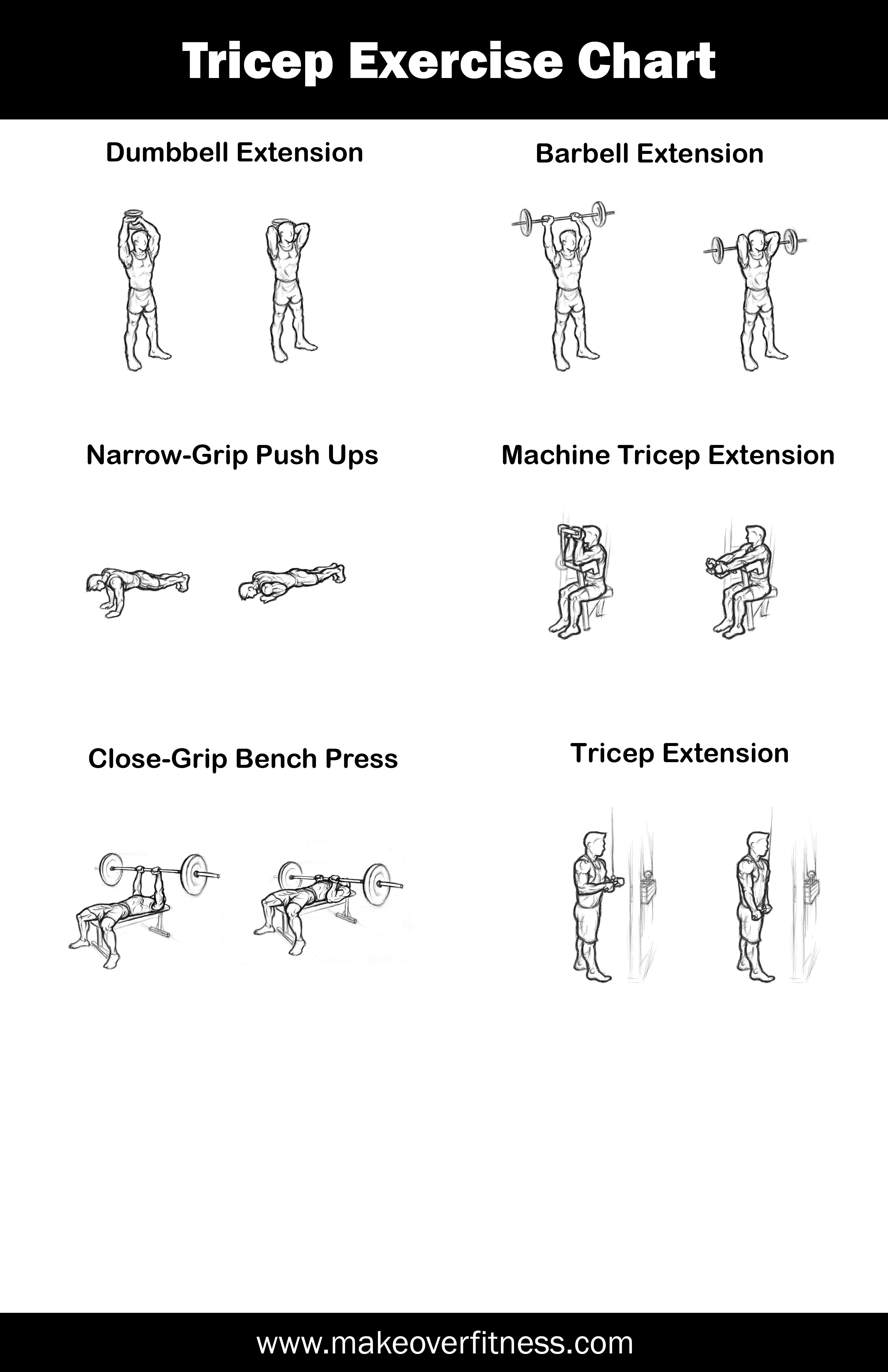 Triceps Workout Arm Fitness Professional Instructional Wall Chart ...