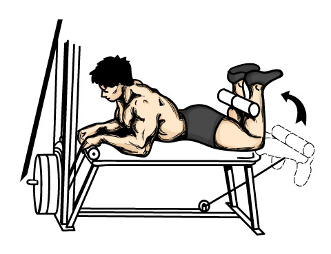Illustration of hamstring exercises. 