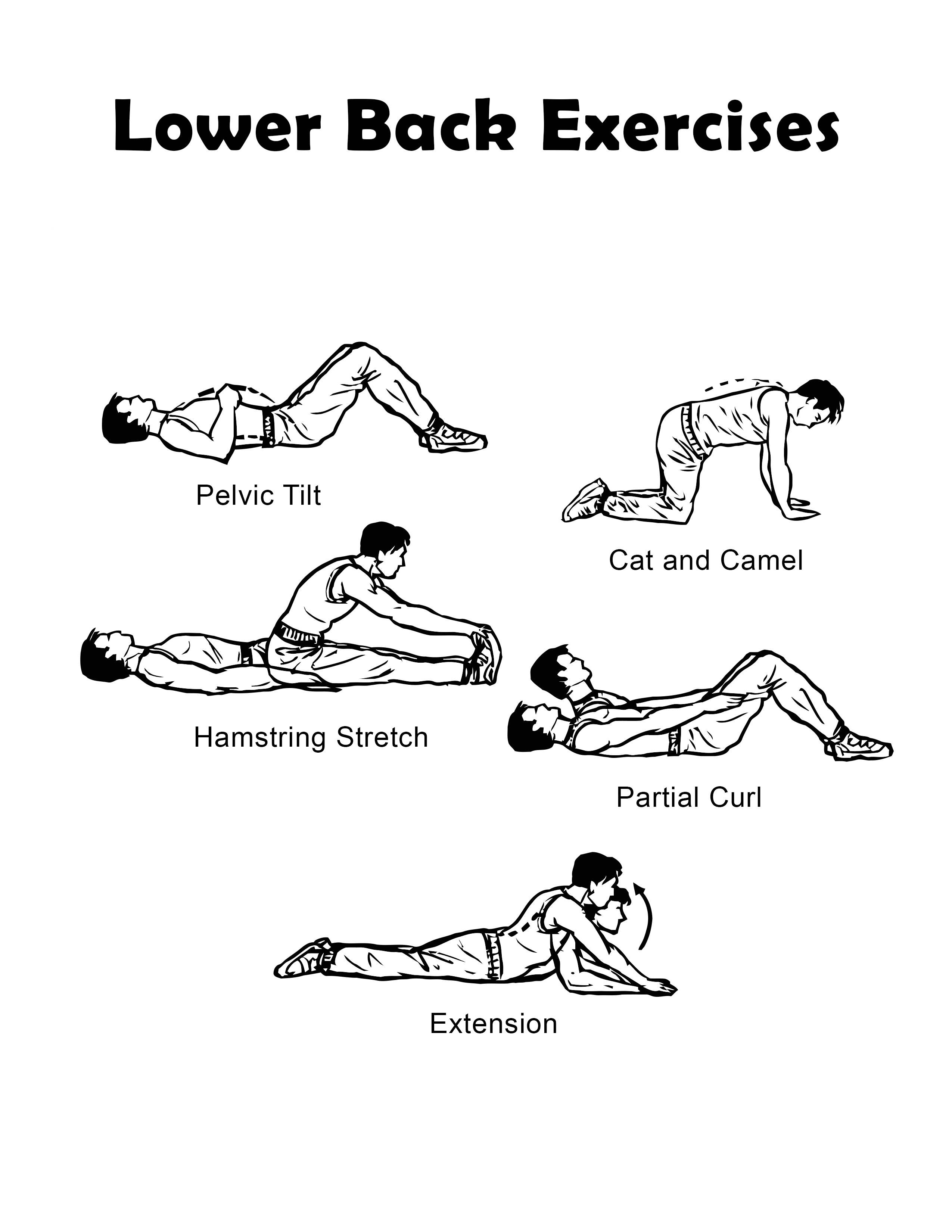 Lower back exercise chart you can download and print.