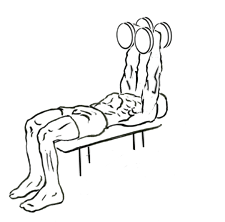 image of lying dumbbell tricep extension finish position
