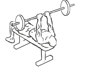 illustration of lying triceps extensions with a barbell 