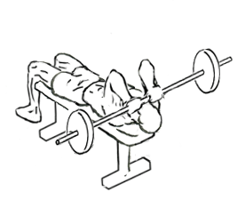 illustration of lying triceps extensions with a barbell 