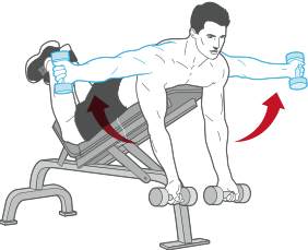 illustration of posterior deltoid exercises being performed. 