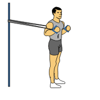 Illustration of resistance band chest workouts. 