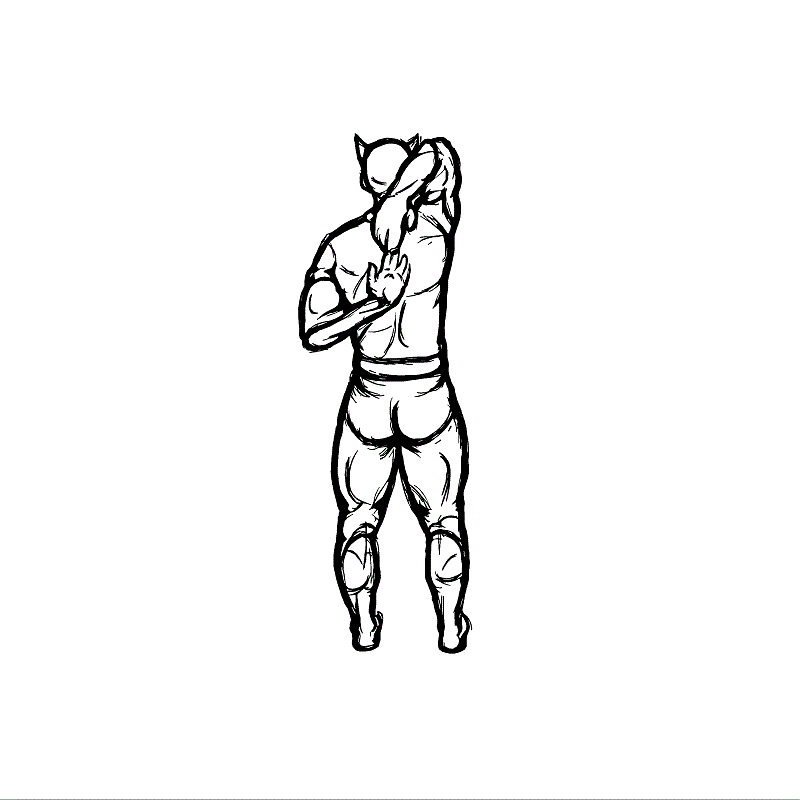 Illustration of shoulder flexibility test. 