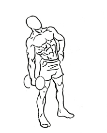 Dumbbell side bend demonstration start position