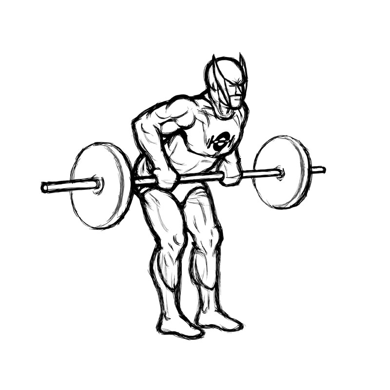 Illustration of bent over rows using a barbell.