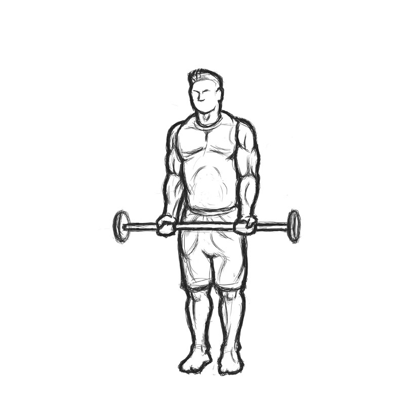 man doing standing bicep curl with barbell