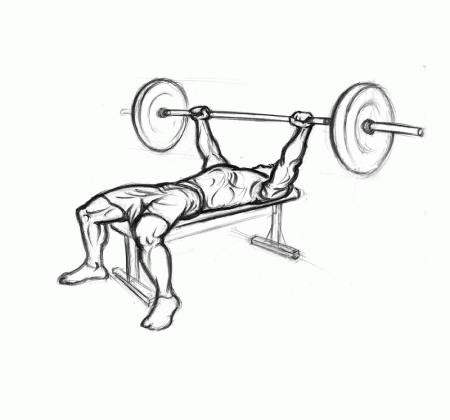 Illustration of chest exercises using a barbell.