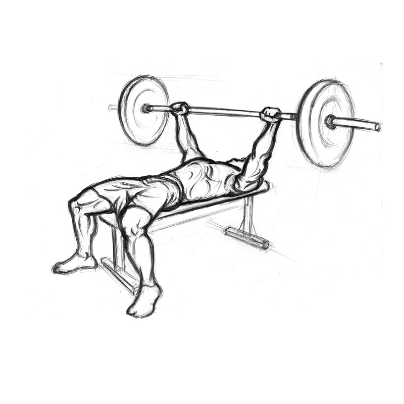 illustration of flat bench press with a barbell