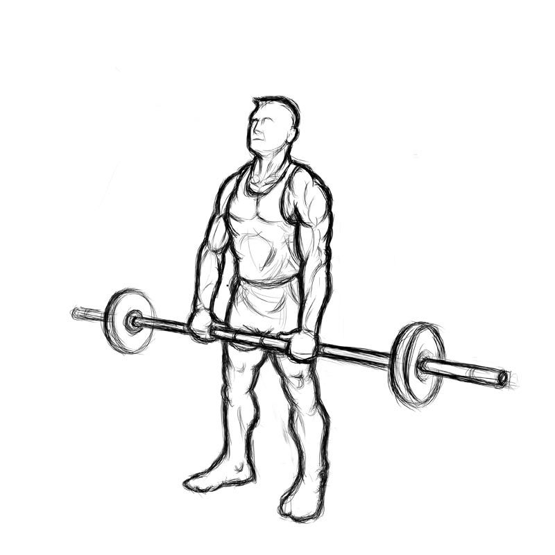 illustration of barbell upright rows