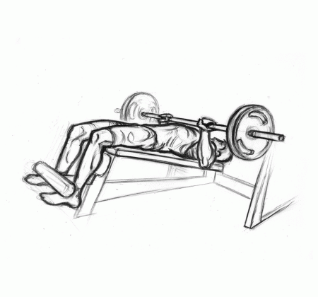 The best chest exercises you can do at home or the gym.