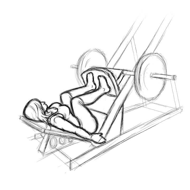 Illustration of curvy plus size women doing leg press exercise.
