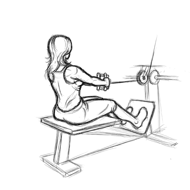 Illustration of curvy women doing seated back row exercise.