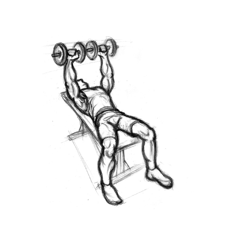 Man doing flat bench press with a dumbbell set.