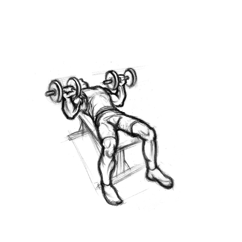 illustration of male doing dumbbell flat bench press 