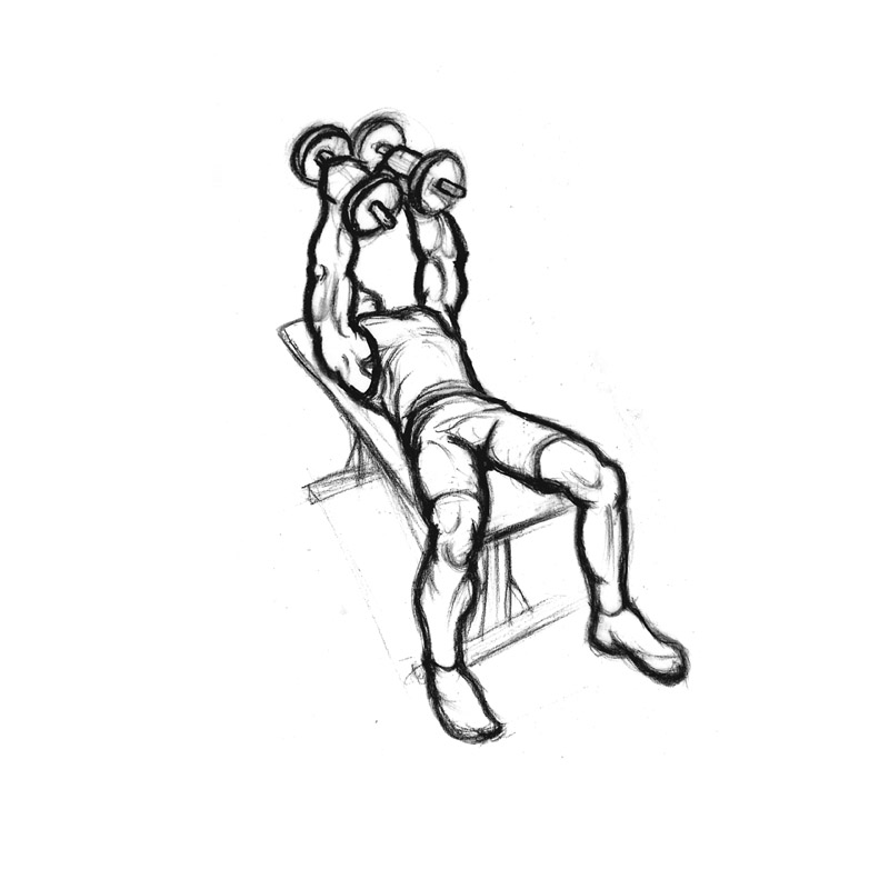 Male doing dumbbell flyes on a bench