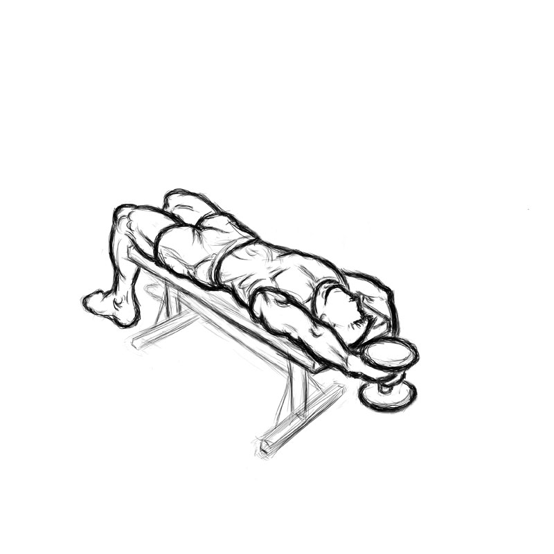 Illustration of dumbbell pullover from finish position.