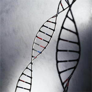 Learn how to embrace your genetic advantages