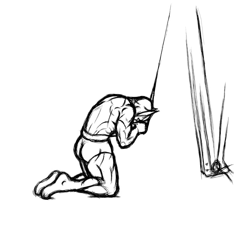 Illustration of cable crunches with rope attachment.