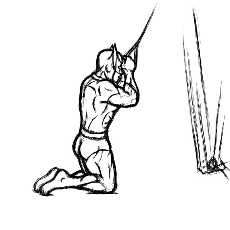 Illustration of cable crunches with rope attachment.