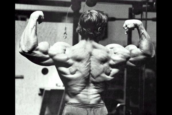 Great back exercises for building mass.