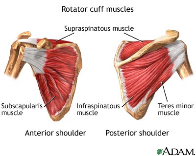 Rotator cuff strengthening exercises you can do at the gym or at home.