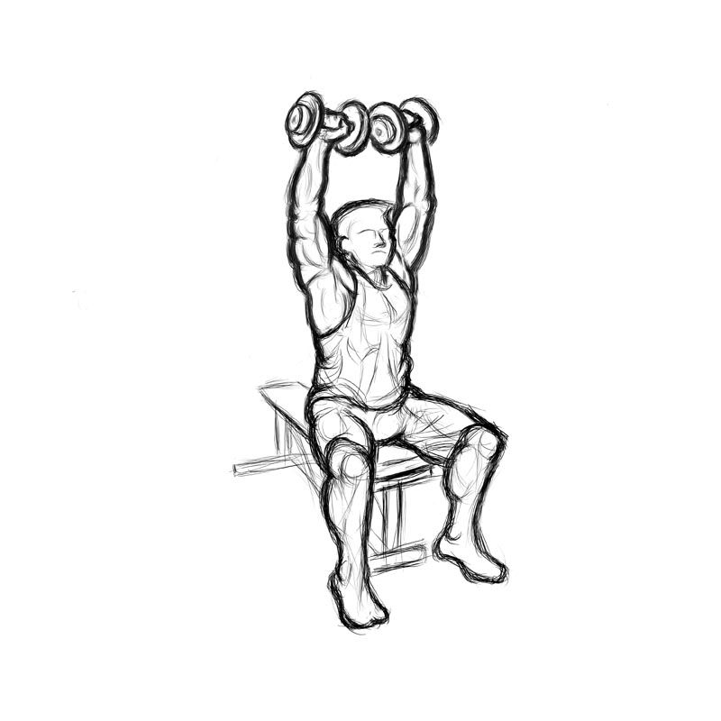 Illustration of male doing dumbbell press while seated