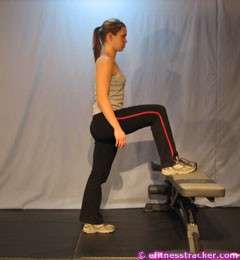 step_ups_on_bench1.jpg step_ups_on_bench1.jpg