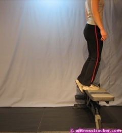 step_ups_on_bench2.jpg step_ups_on_bench2.jpg