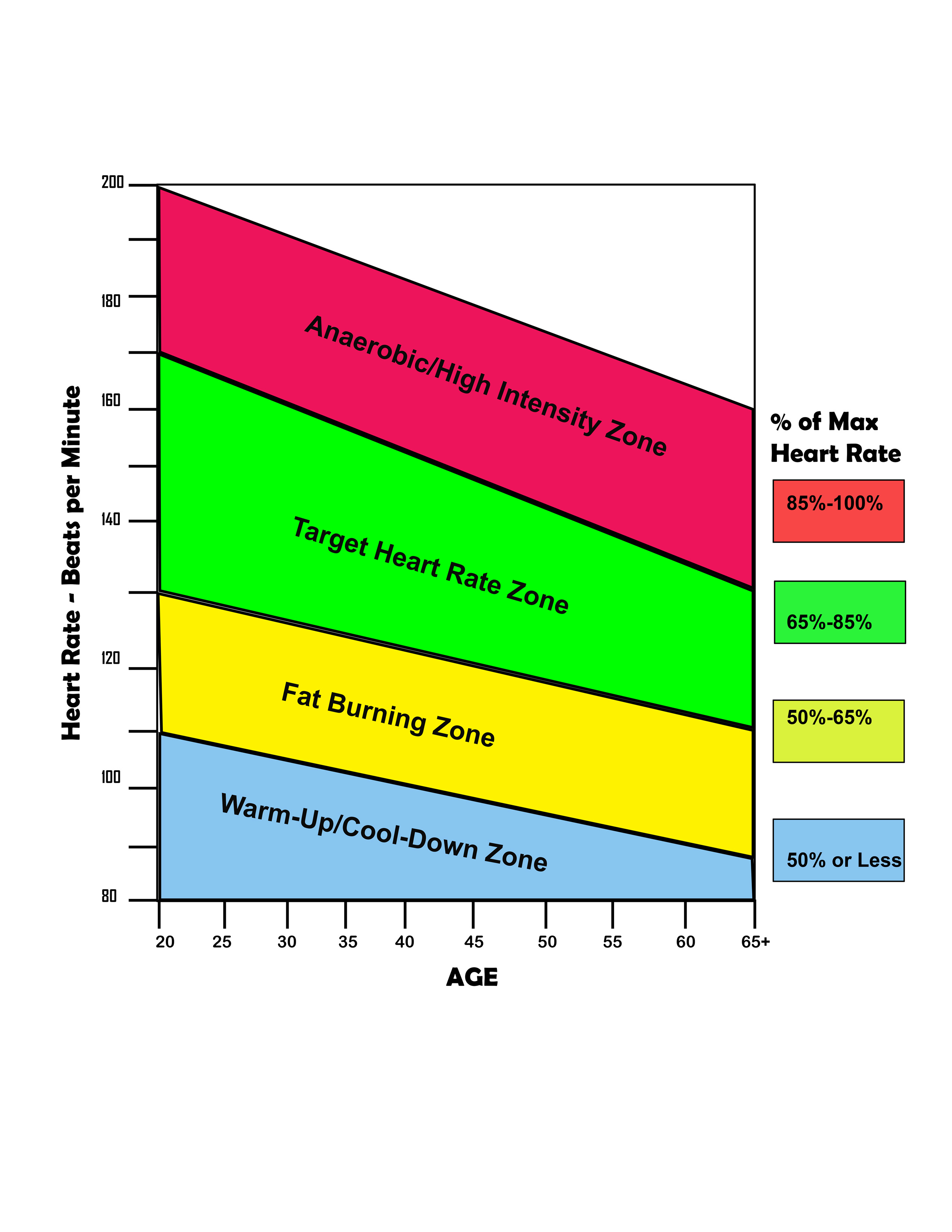 ALGRA Heart Rate Target Poster - 24x36 Laminated Fitness Chart For Exercise & Workout Goals