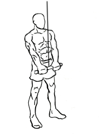 image of triceps pushdown with bar finish position