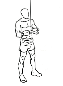 image of triceps pushdown with bar