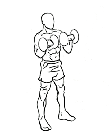 images of zottman curl finish position